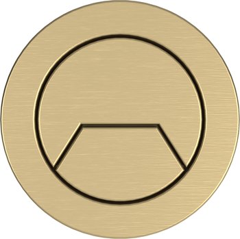 Brushed Gold Round Push Putton